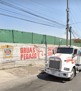 Gruas Pegaso Barrientos